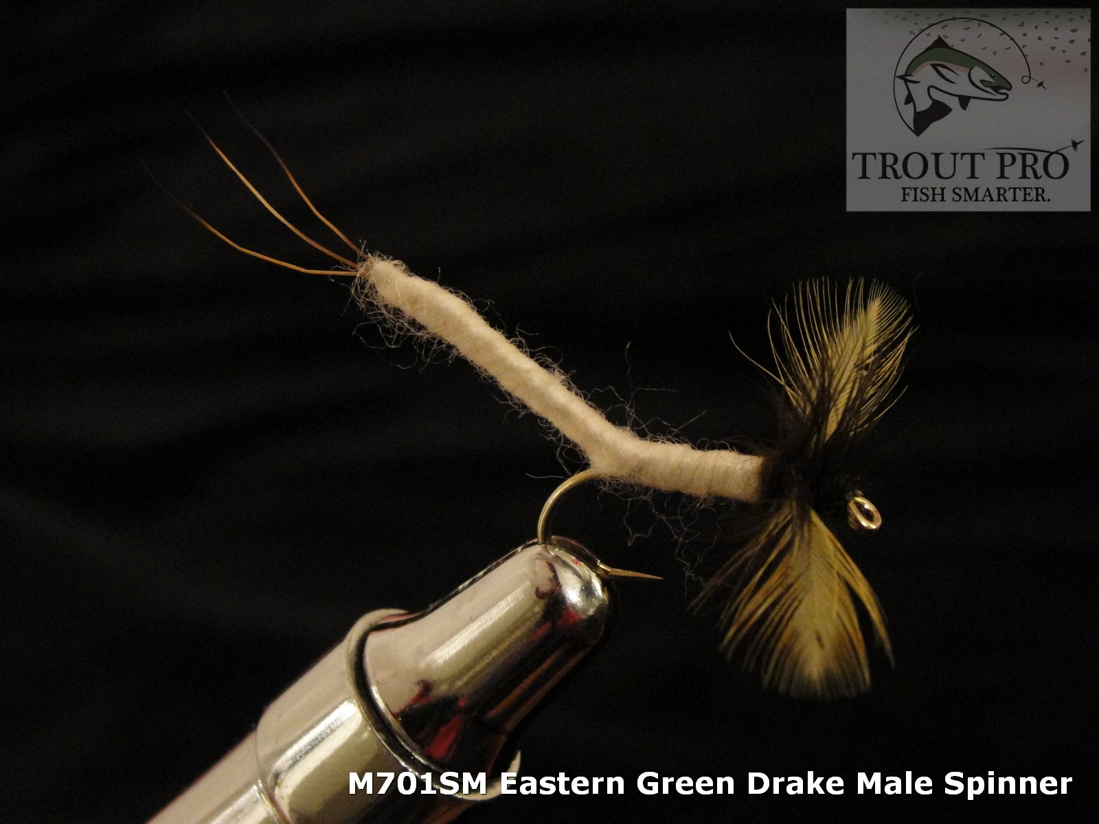 Eastern Green Drake Male Spinner