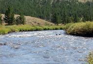 Understanding Trout Streams Classifications | Trout Pro Store